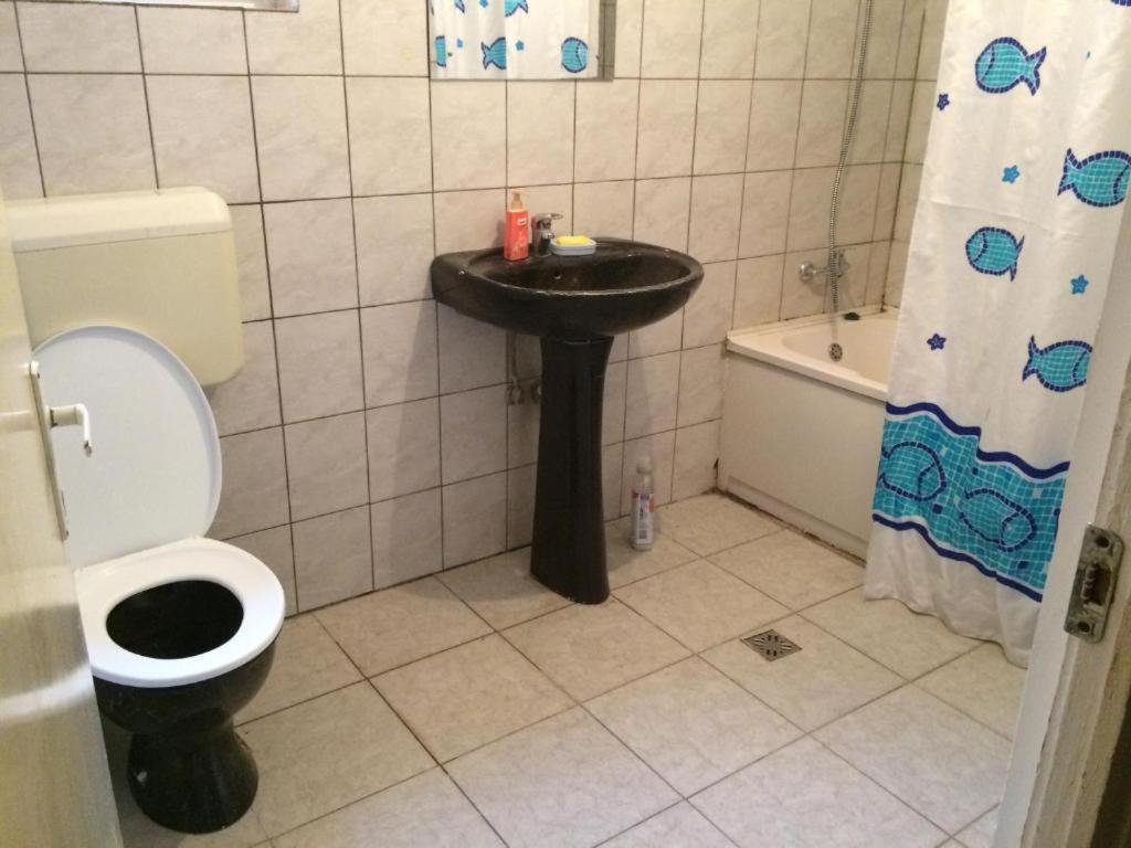 Casa Adrian Camere Centru Vechi Braşov Dış mekan fotoğraf