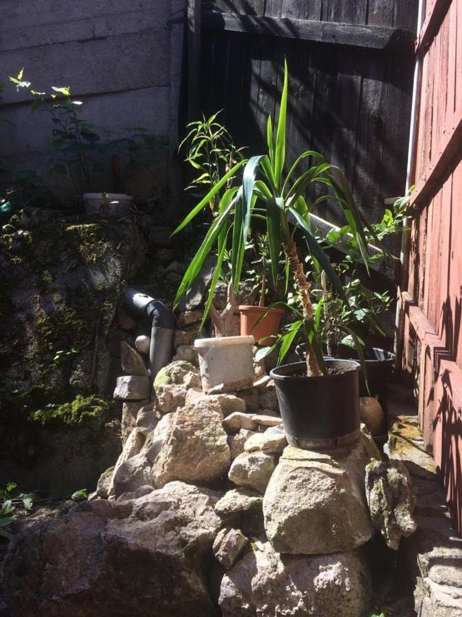 Casa Adrian Camere Centru Vechi Braşov Dış mekan fotoğraf